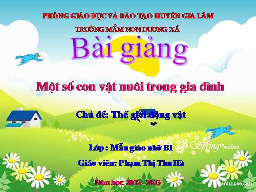 mot so con vat nuoi trong gia dinh