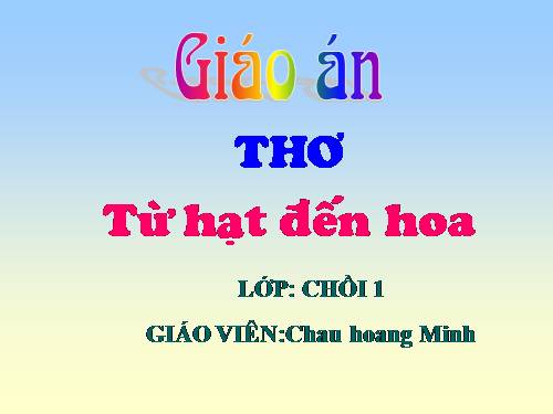 giao an thao giang