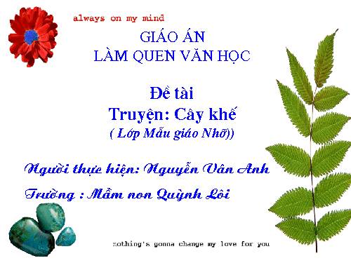 Truyện : Cây khế