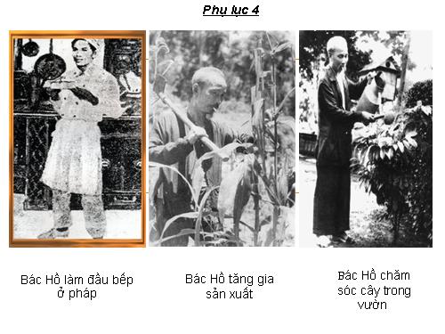 BÀI GIẢNG HỒ CHÍ MINH