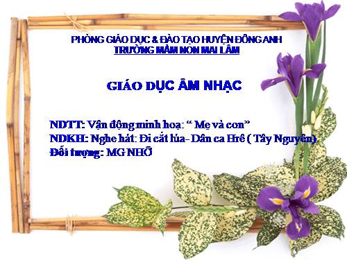 ÂM NHẠC MGN