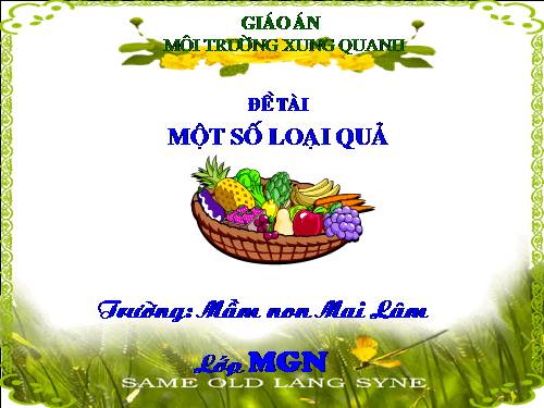 KP MỘT SỐ LOẠI QUẢ