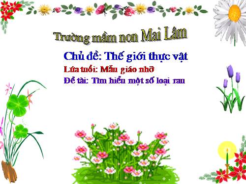 MỘT SỐ LOẠI RAU