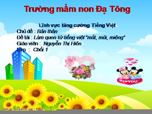 từ tiếng việt mắt mũi miệng