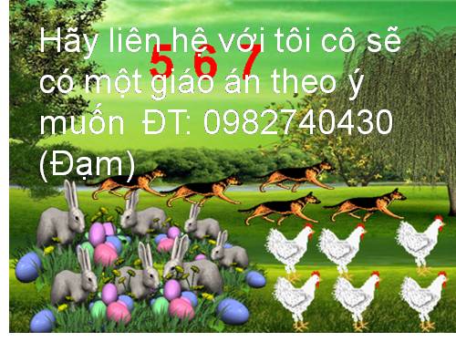 giáo án thi cực hay