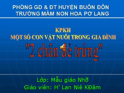 Một số con vật nuôi trong  GĐ