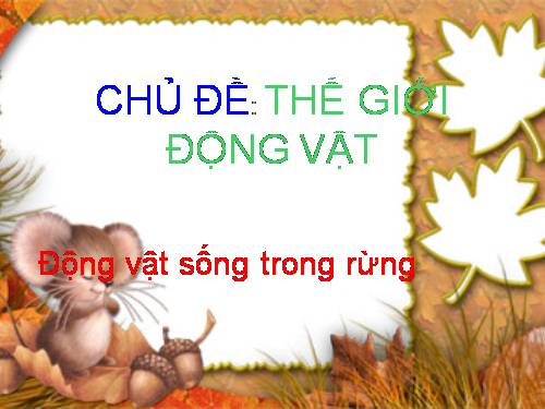 Khám Phá Môi Trường Xung Quanh