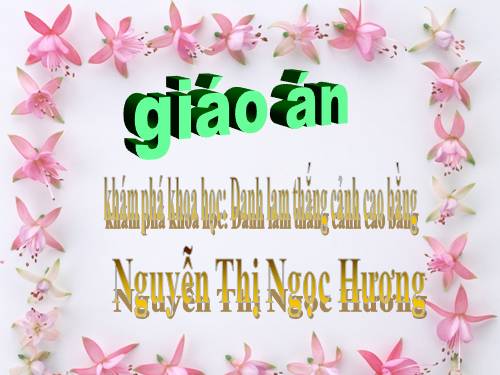 khám phá hoa học