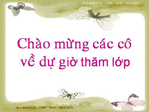 văn học