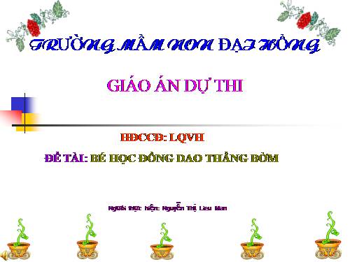 LQVH DONG DAO THANG BOM