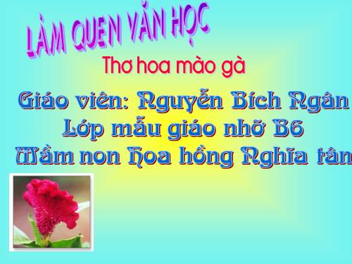 Giáo án: Thơ Hoa mào gà