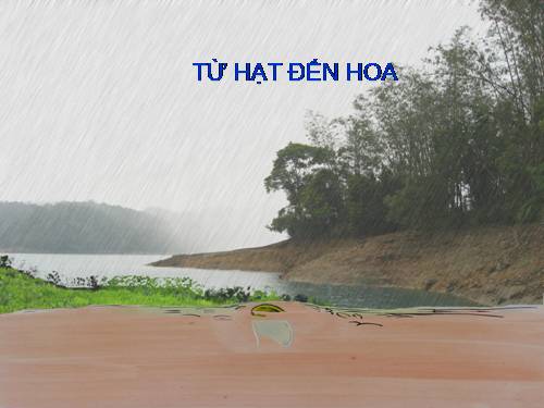 Thơ; Từ hạt đến hoa