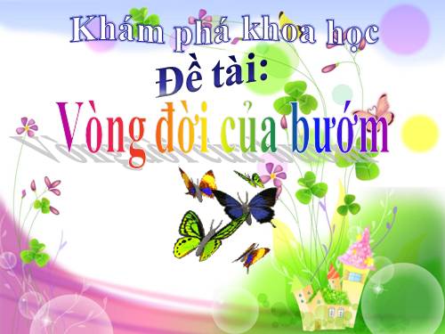 Khám phá - Vòng đời của bướm