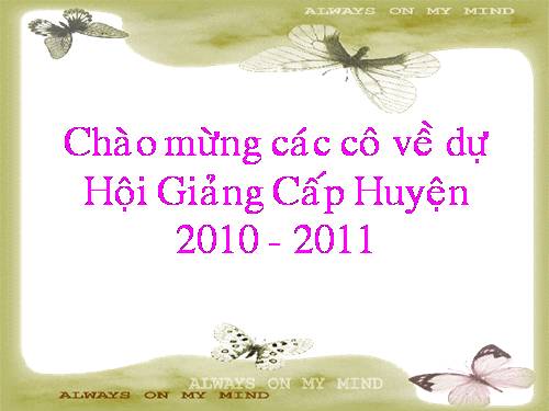 Thơ: Gà mẹ đếm con