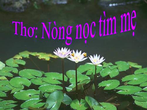 thơ nòng nọc tìm mẹ