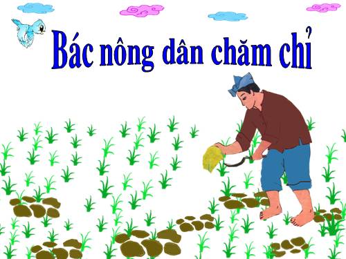 Bác nông dân chăm chỉ