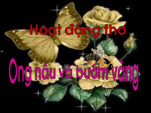 tho: Ong nau va buom vang