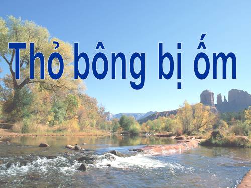 Tho bong bi om