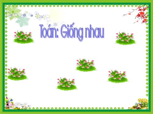 Bai day: toan giong nhau