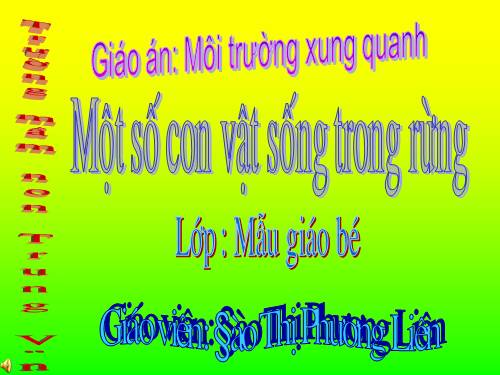 DV song trong rung _ MGB