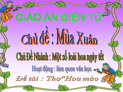 hoa mào gà