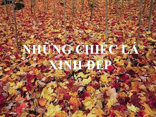 Những chiếc lá xinh đẹp