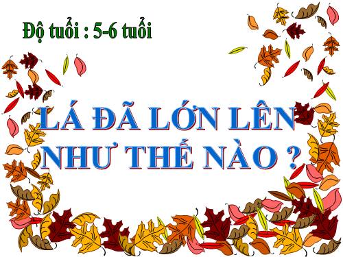 Lá đã lớn lên như thế nào?