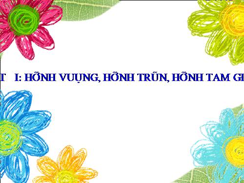 Hình vuông_Tròn_Chữ nhật_Tam giác