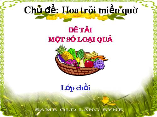 Một số loại quả