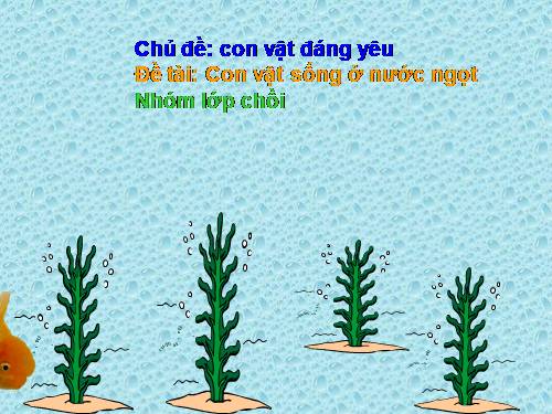 Con vật sống dưới nước