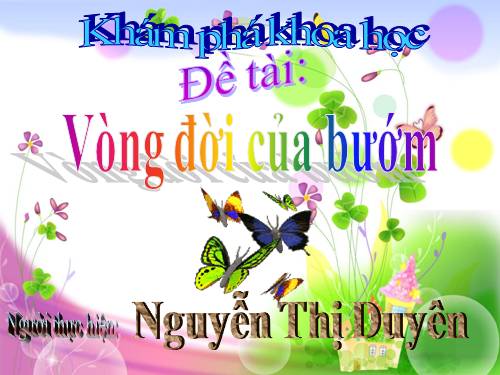 Vòng đời của bướm