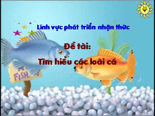 linh vuc nhan thuc