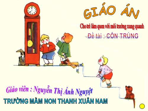 Côn trùng quanh bé