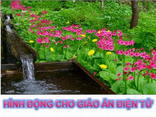 ảnh động