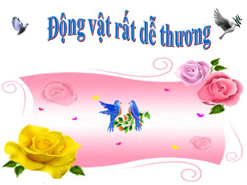 HÌNH ĐỘNG ĐỘNG VẬT RẤT DỄ THƯƠNG