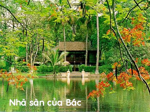 Bác Hồ kính yêu