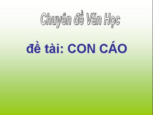 Con cáo