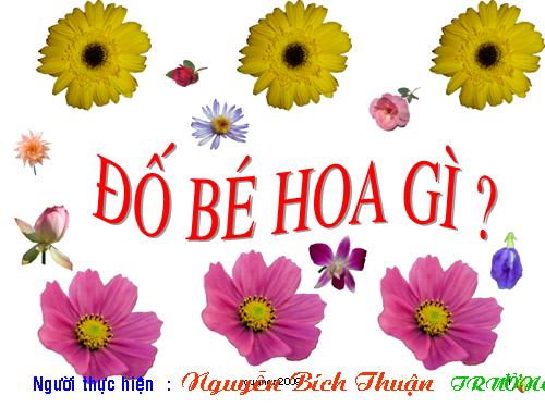 Đố bé hoa gì?