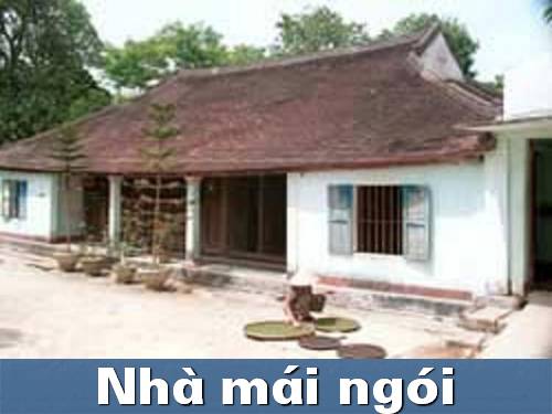 ve ngoi nha- mn cổ nhuế b