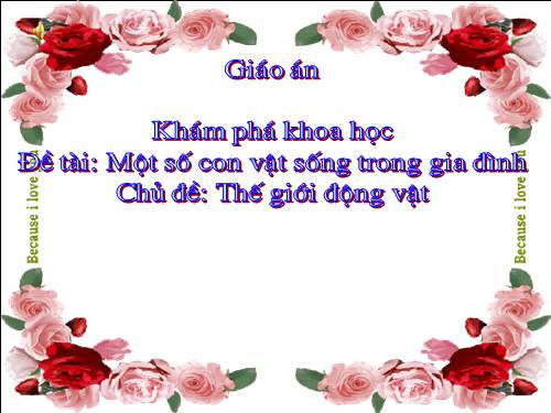 kham pha mot so con vat song trong gia dinh