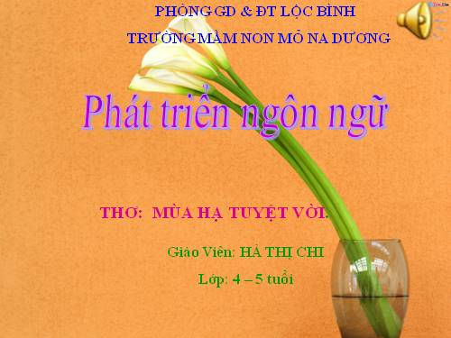 PTNN "Mùa hạ tuyệt vời"