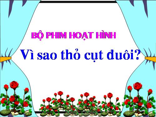 vi sao tho cut duoi