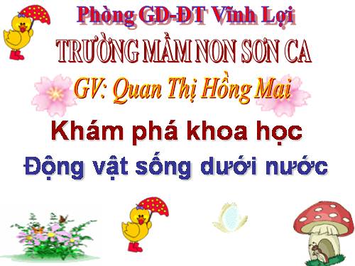 CON VẬT SỐNG DƯỚI NƯỚC