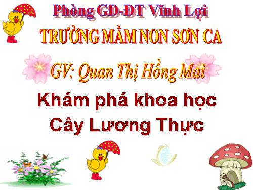 CÂY  LƯƠNG THỰC