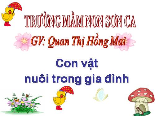 CON VẬT NUÔI TRONG GIA ĐÌNH