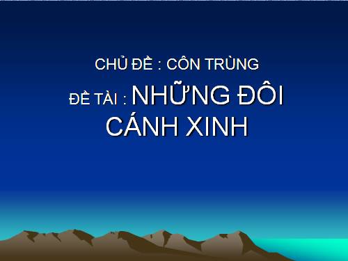 CÁNH CÔN TRÙNG