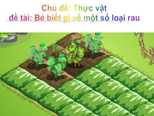 Một số loài rau