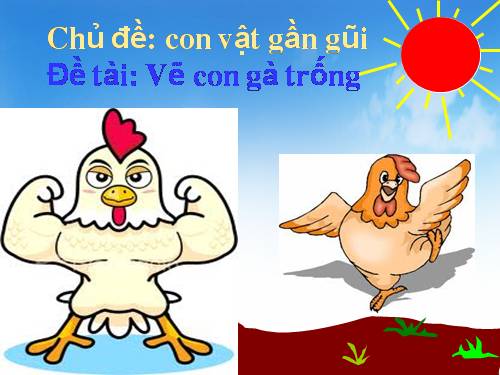 Bé vẽ gà trống