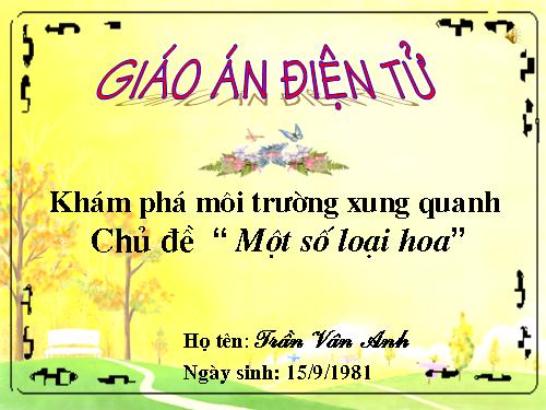 MỘT SỐ LOẠI HOA