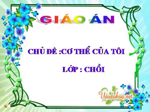 chủ đề : cơ thể của tôi